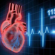 Frequenza cardiaca per dimagrire